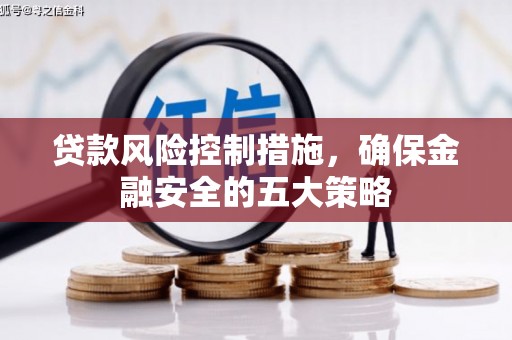 谯城贷款风险控制措施，确保金融安全的五大策略
