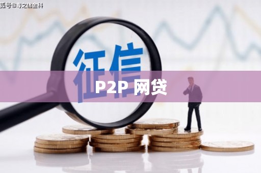 谯城P2P 网贷
