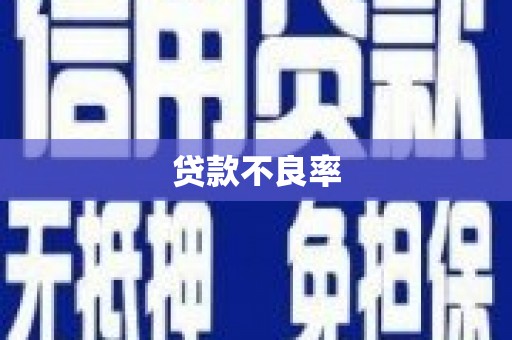 谯城贷款不良率