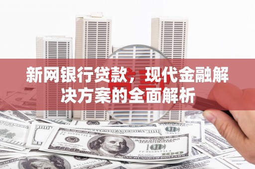 谯城新网银行贷款，现代金融解决方案的全面解析