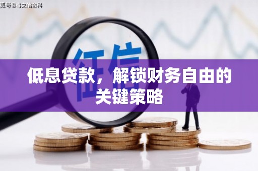 谯城低息贷款，解锁财务自由的关键策略
