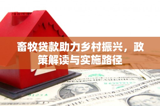 谯城畜牧贷款助力乡村振兴，政策解读与实施路径