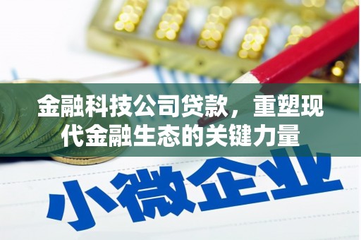 谯城金融科技公司贷款，重塑现代金融生态的关键力量