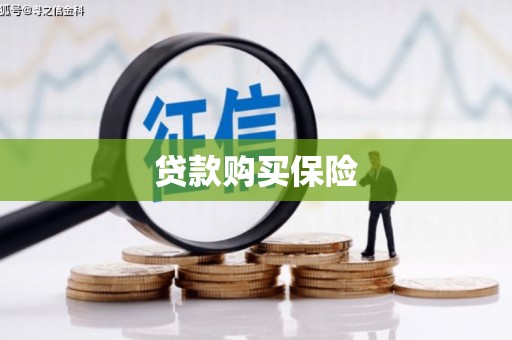 谯城贷款购买保险