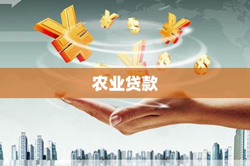 谯城农业贷款