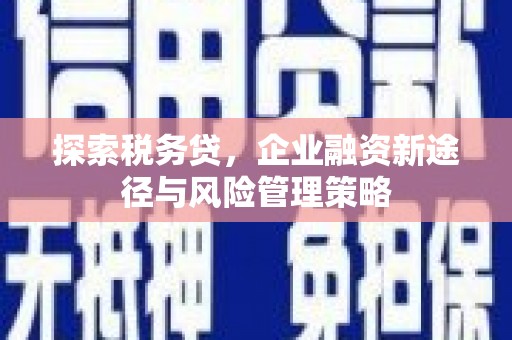 谯城探索税务贷，企业融资新途径与风险管理策略