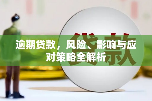 谯城逾期贷款，风险、影响与应对策略全解析