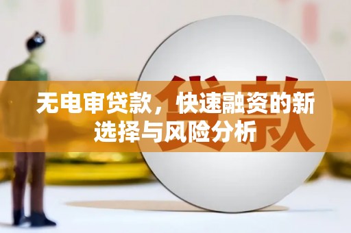 谯城无电审贷款，快速融资的新选择与风险分析