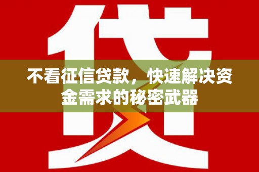 谯城不看征信贷款，快速解决资金需求的秘密武器