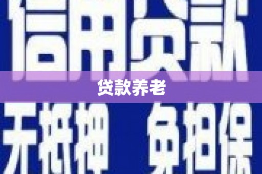 谯城贷款养老
