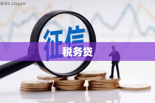 谯城税务贷