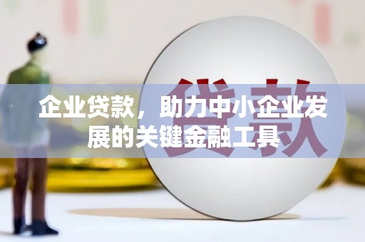 谯城企业贷款，助力中小企业发展的关键金融工具