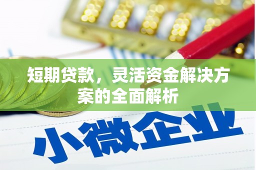 谯城短期贷款，灵活资金解决方案的全面解析