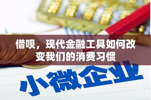 谯城借呗，现代金融工具如何改变我们的消费习惯
