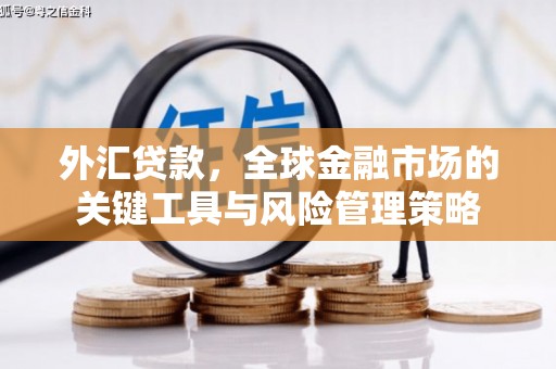 谯城外汇贷款，全球金融市场的关键工具与风险管理策略