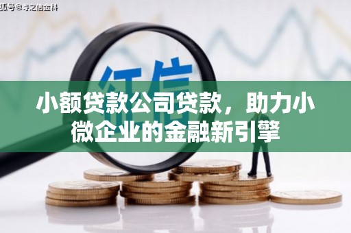 谯城小额贷款公司贷款，助力小微企业的金融新引擎