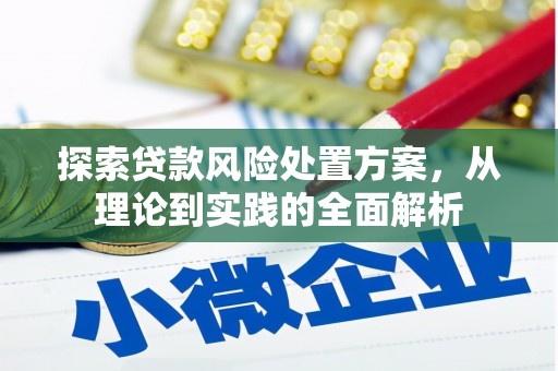 谯城探索贷款风险处置方案，从理论到实践的全面解析