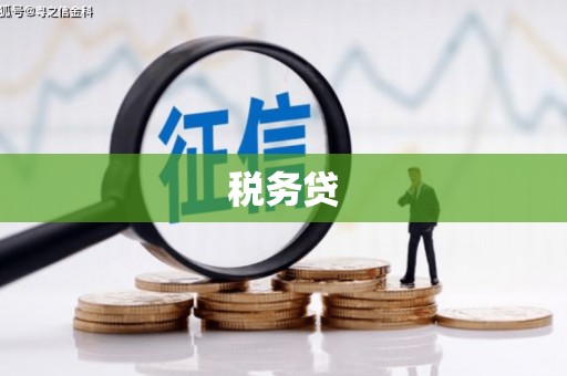 谯城税务贷
