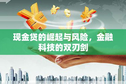 谯城现金贷的崛起与风险，金融科技的双刃剑