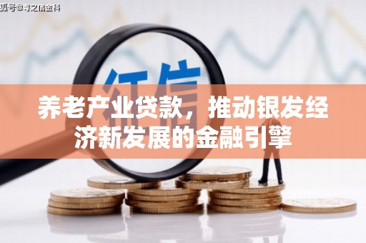 谯城养老产业贷款，推动银发经济新发展的金融引擎