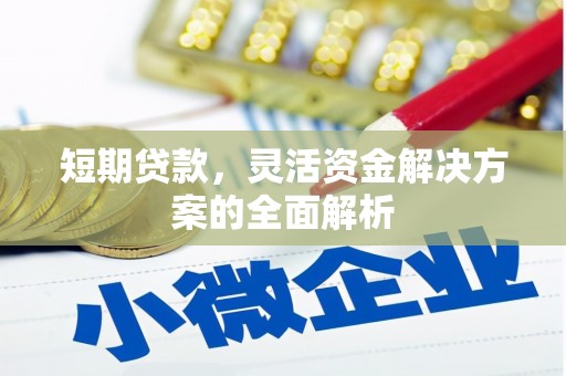 谯城短期贷款，灵活资金解决方案的全面解析