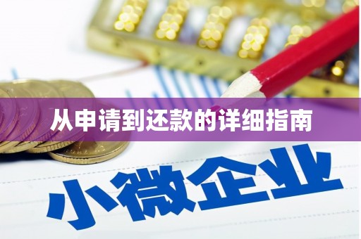 谯城从申请到还款的详细指南