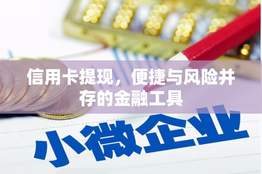 谯城信用卡提现，便捷与风险并存的金融工具