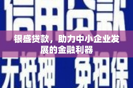 谯城银盛贷款，助力中小企业发展的金融利器