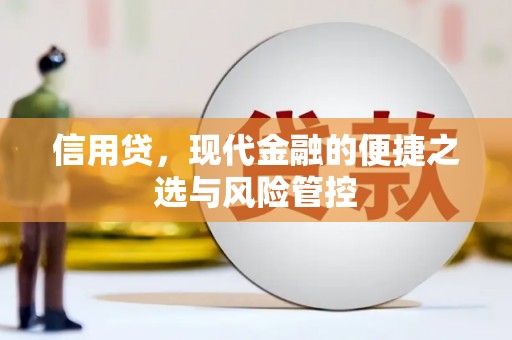 谯城信用贷，现代金融的便捷之选与风险管控