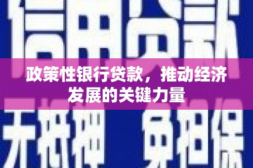 谯城政策性银行贷款，推动经济发展的关键力量