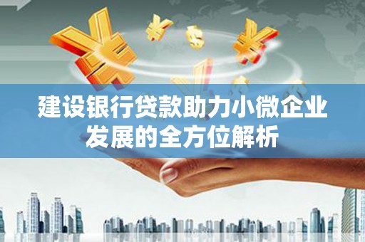 谯城建设银行贷款助力小微企业发展的全方位解析