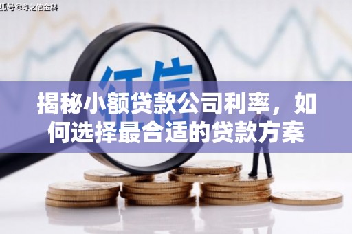 谯城揭秘小额贷款公司利率，如何选择最合适的贷款方案