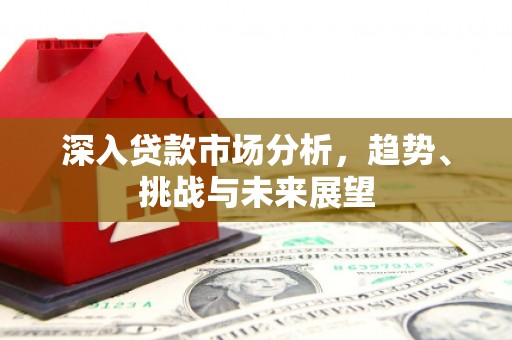 谯城深入贷款市场分析，趋势、挑战与未来展望