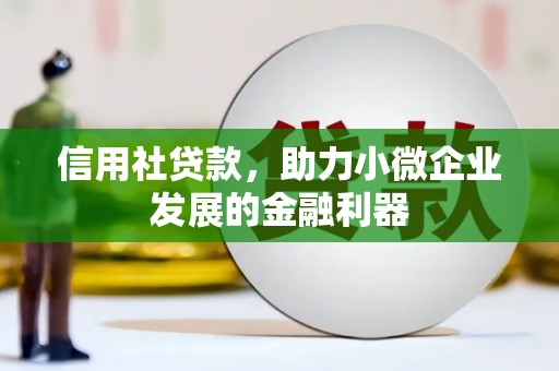 谯城信用社贷款，助力小微企业发展的金融利器