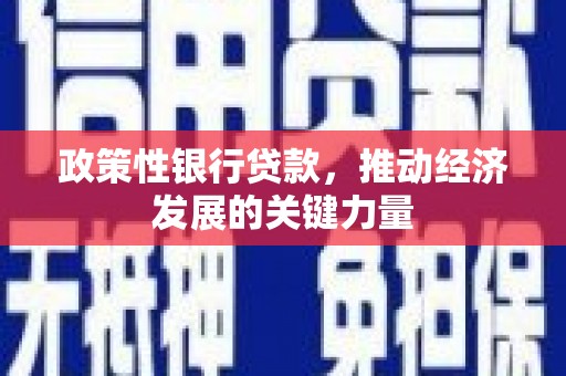 谯城政策性银行贷款，推动经济发展的关键力量