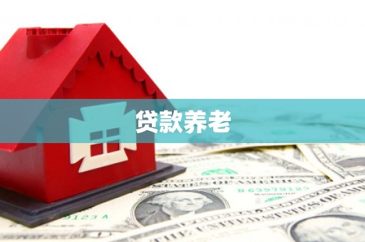 谯城贷款养老