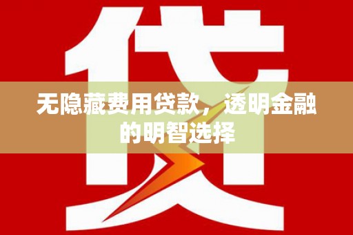 谯城无隐藏费用贷款，透明金融的明智选择
