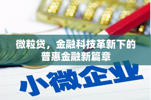 谯城微粒贷，金融科技革新下的普惠金融新篇章