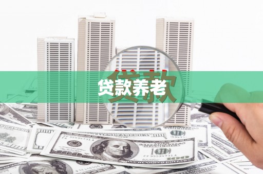 谯城贷款养老