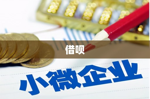谯城借呗