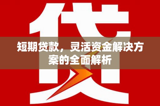 谯城短期贷款，灵活资金解决方案的全面解析