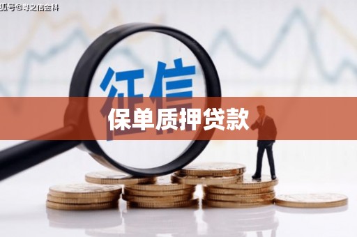 谯城保单质押贷款