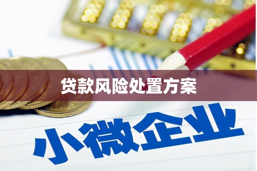 谯城贷款风险处置方案