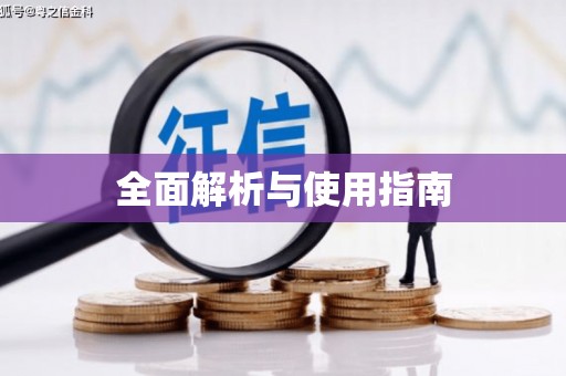 谯城全面解析与使用指南