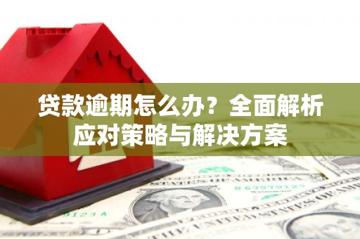 谯城贷款逾期怎么办？全面解析应对策略与解决方案