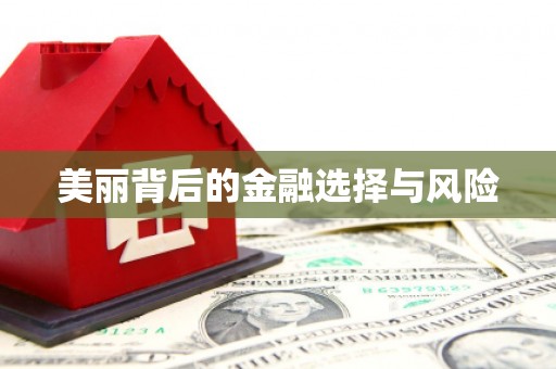 谯城美丽背后的金融选择与风险